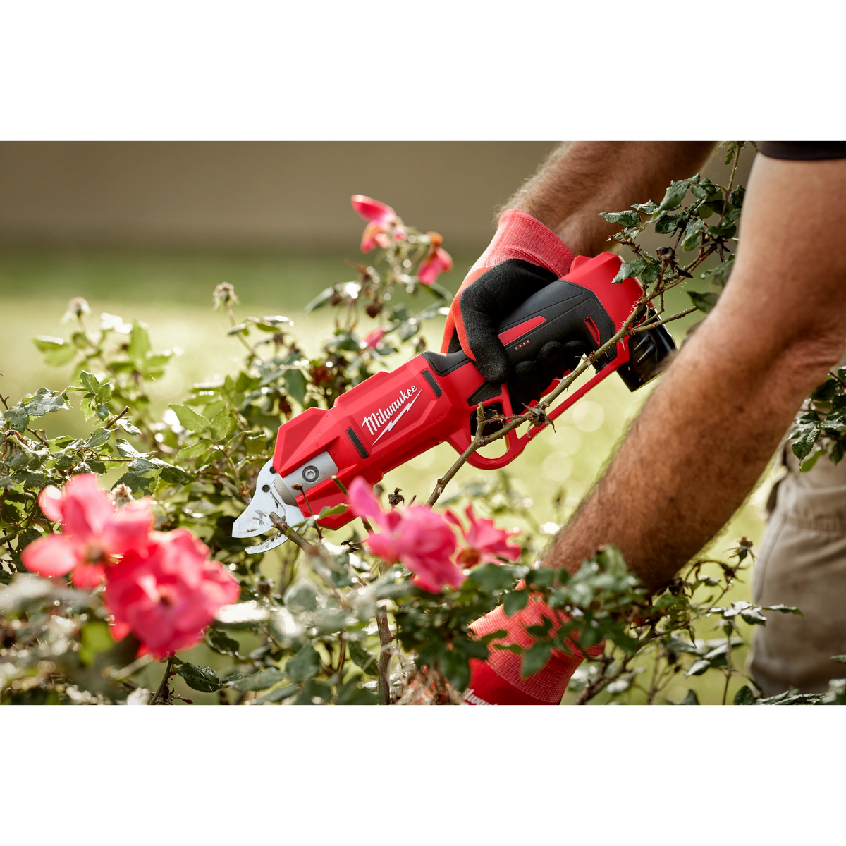 M12 Brushless Pruning Shears 2534-20